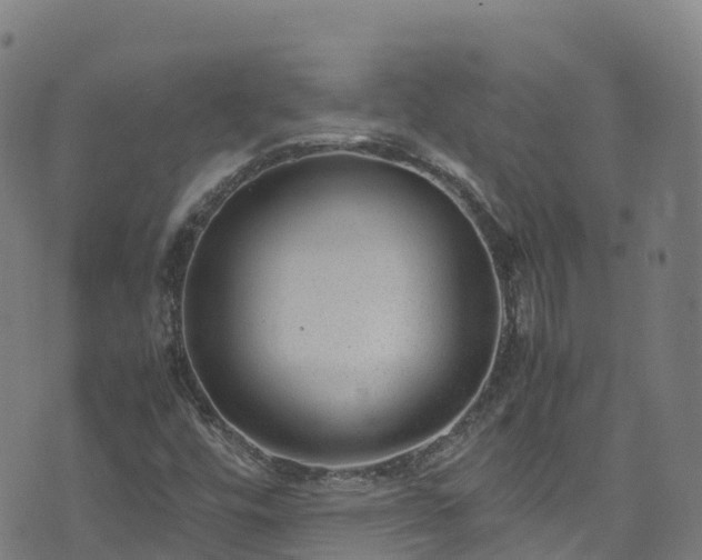 X0000072501448200607211237