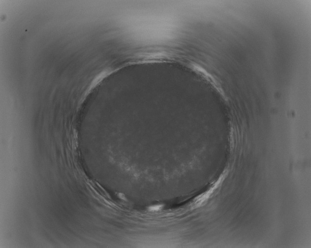 X0000072501449200607211237