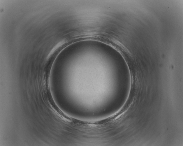 X0000072501450200607211237