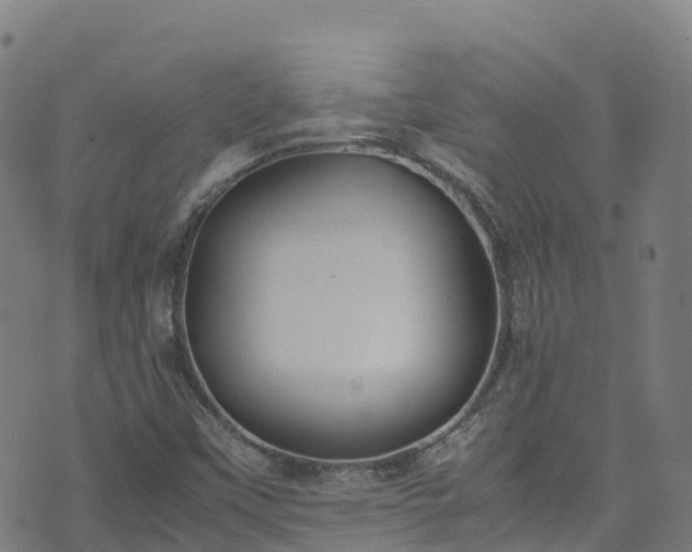 X0000072501451200607211237