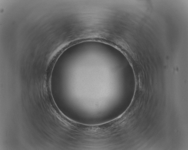 X0000072501452200607211237