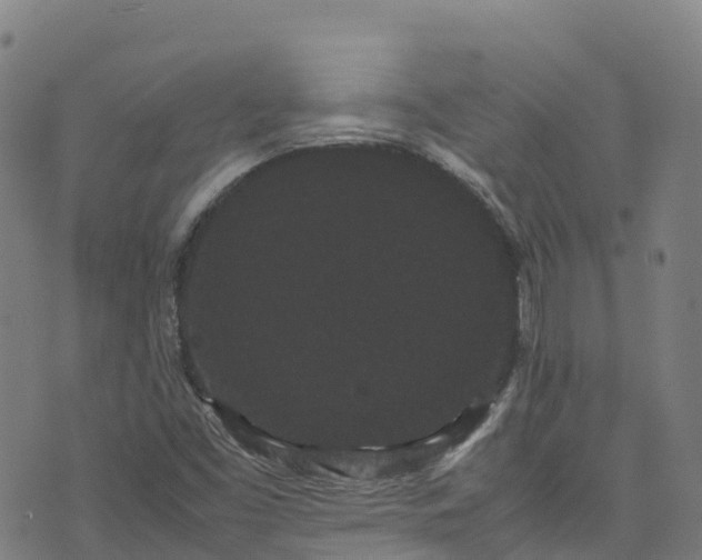 X0000072501453200607211237