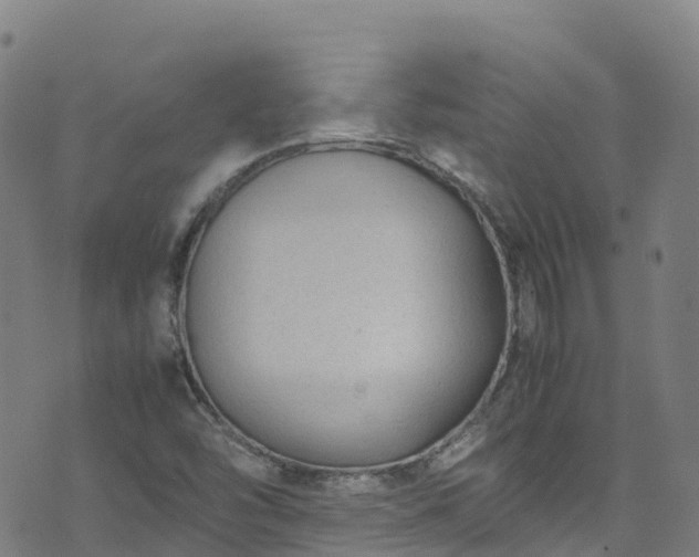 X0000072501454200607211237