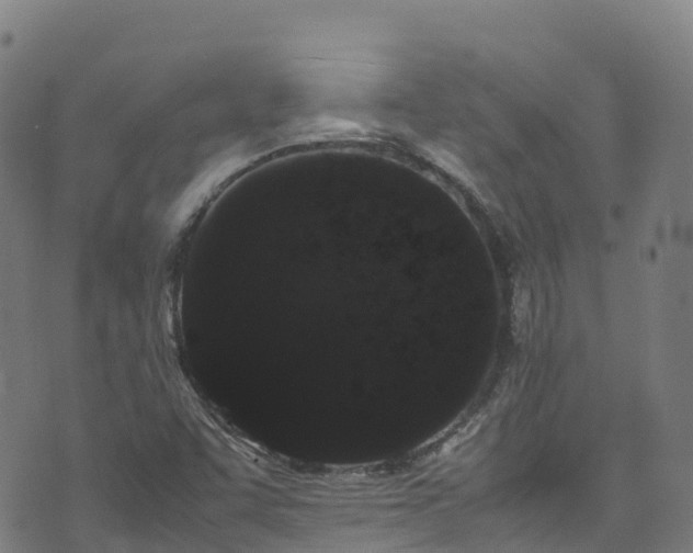 X0000072501455200607211237