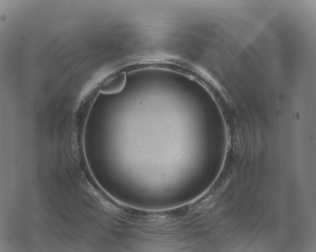 X0000072501456200607211237