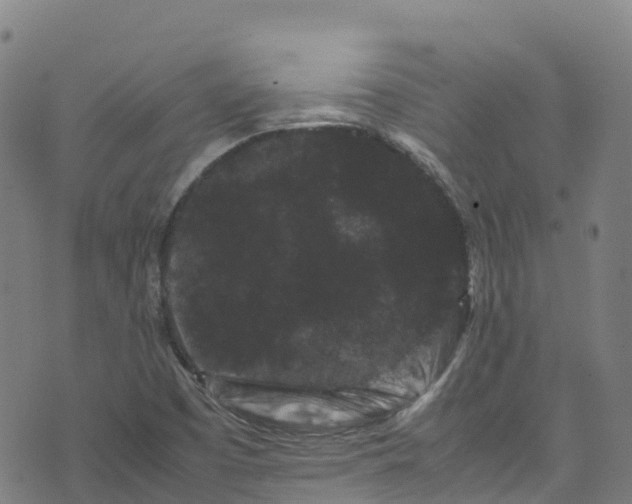 X0000072501457200607211237