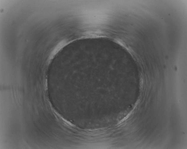 X0000072501459200607211237