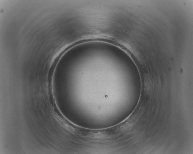 X0000072501460200607211237