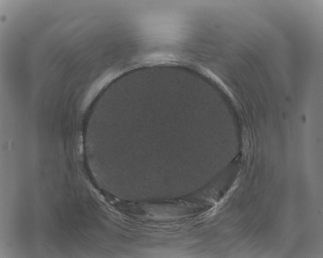 X0000072501461200607211237