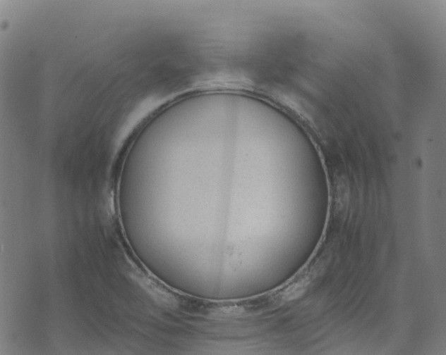 X0000072501462200607211237