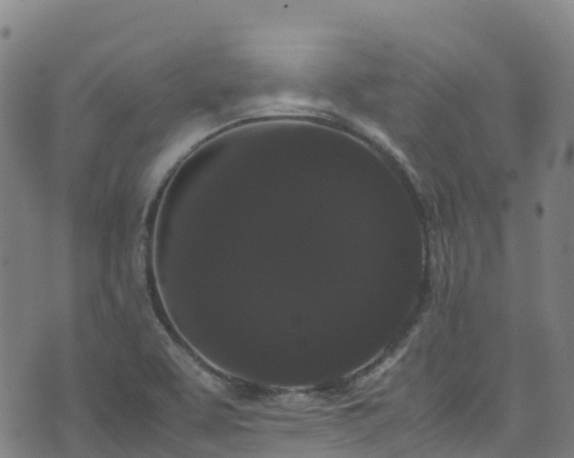 X0000072501463200607211237