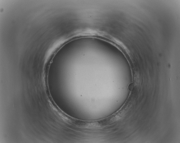 X0000072501464200607211237