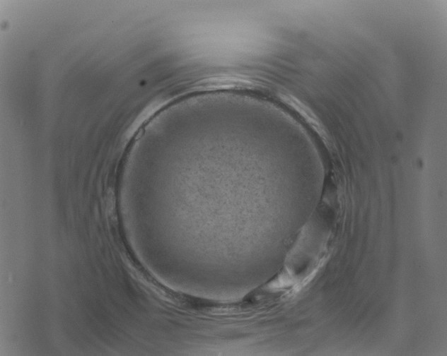 X0000072501465200607211237