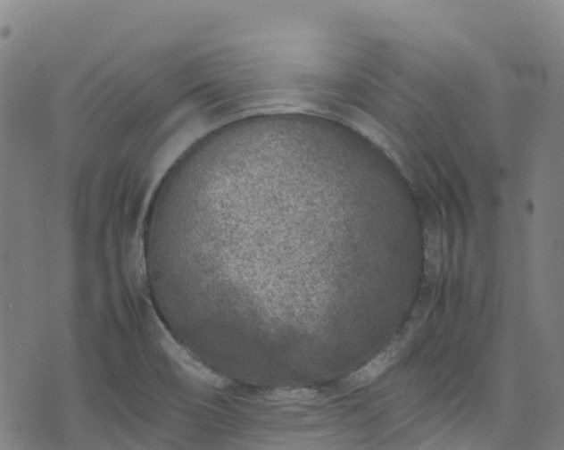 X0000072501466200607211237