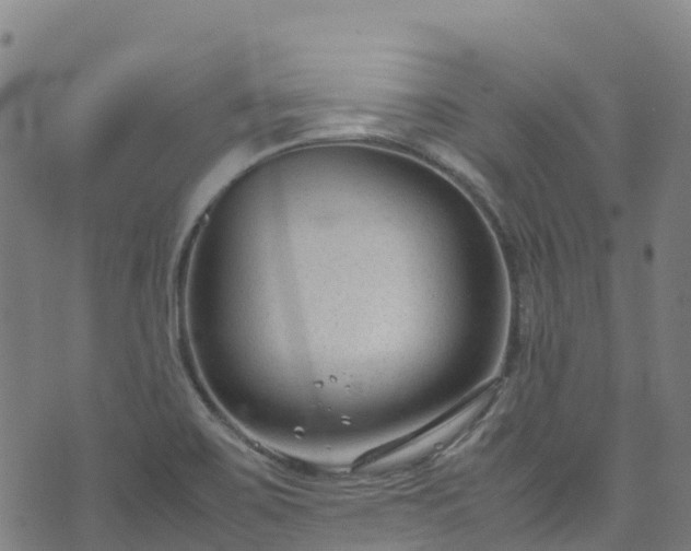 X0000072501467200607211237