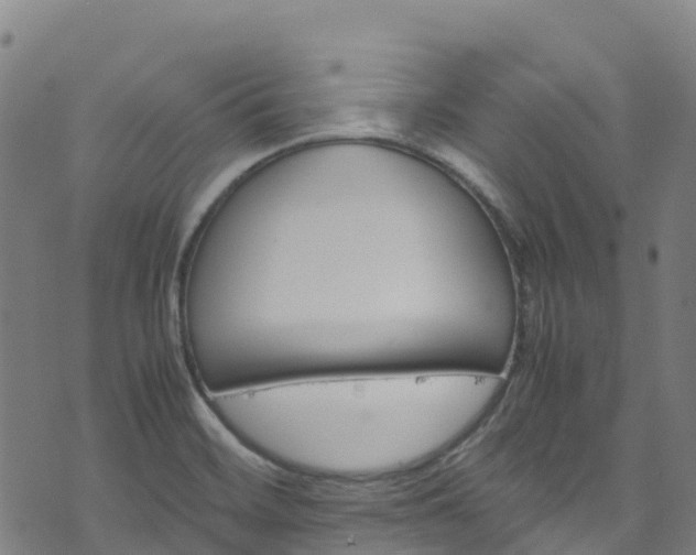 X0000072501468200607211237