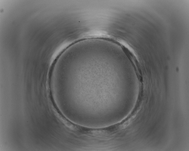 X0000072501469200607211237