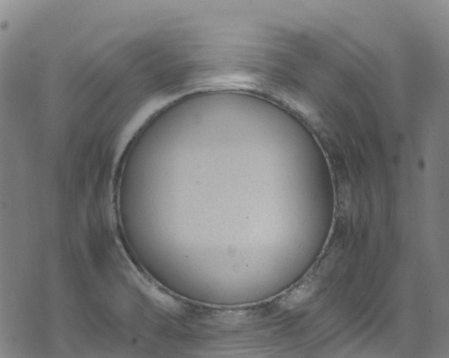 X0000072501470200607211237