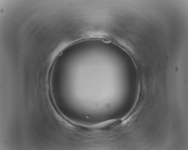 X0000072501471200607211237