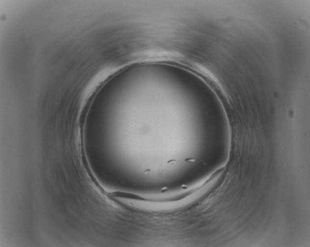 X0000072501472200607211237