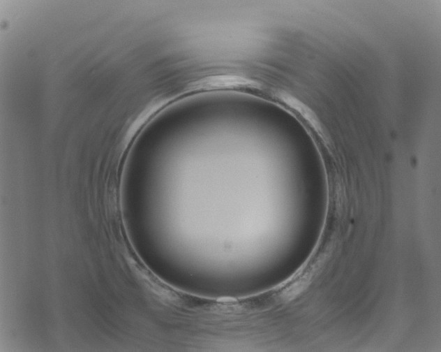 X0000072501473200607211237