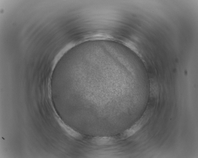 X0000072501474200607211237