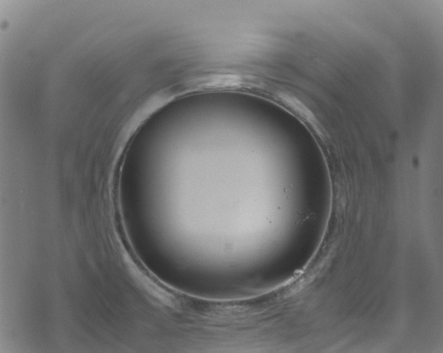 X0000072501475200607211237