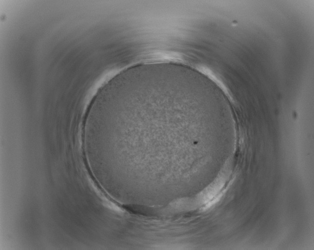 X0000072501477200607211237