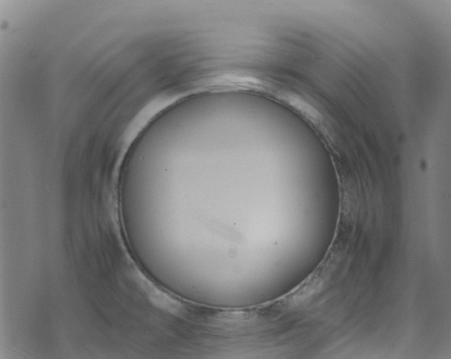 X0000072501478200607211237