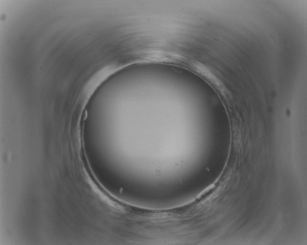 X0000072501479200607211237