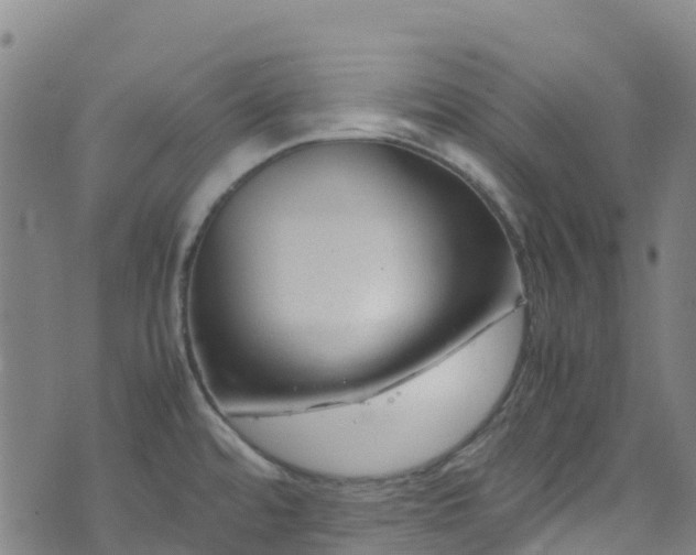 X0000072501480200607211237