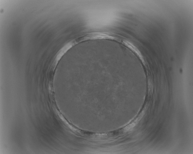 X0000072501481200607211237