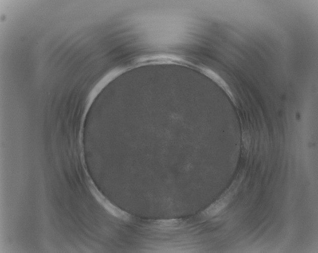 X0000072501482200607211237