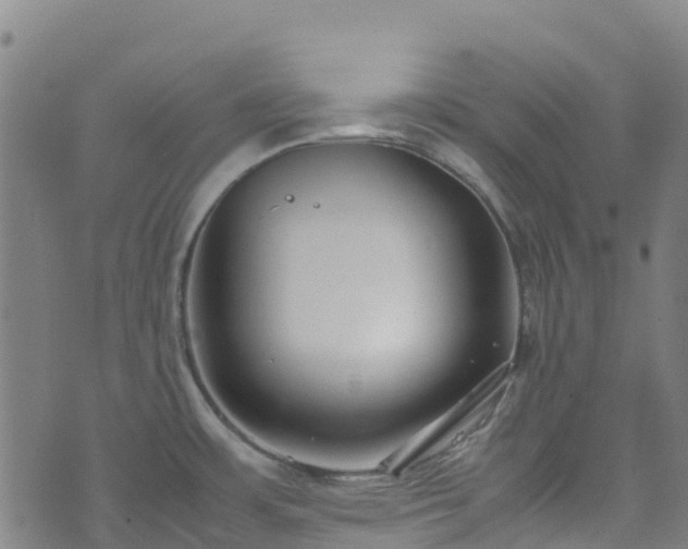 X0000072501483200607211237