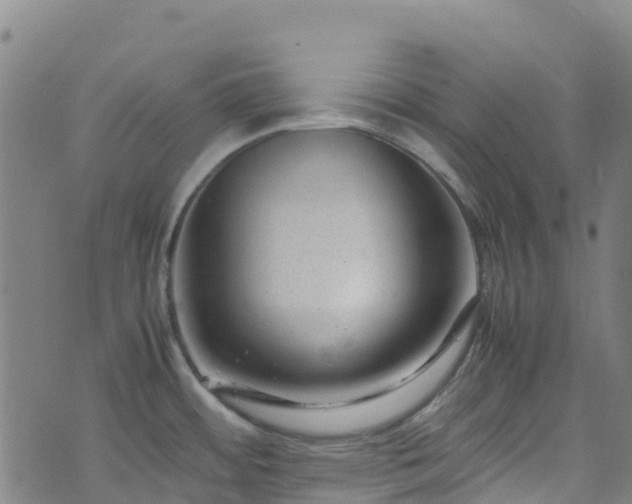 X0000072501484200607211237