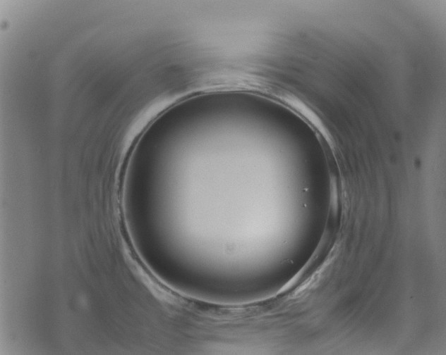 X0000072501485200607211237