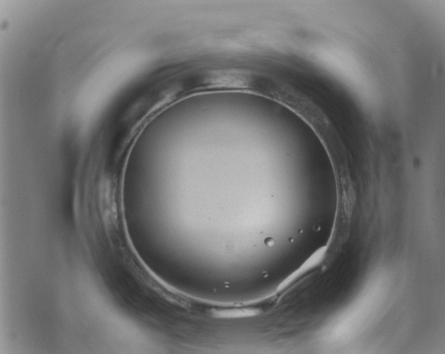 X0000072501487200607211237