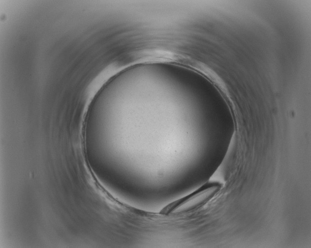 X0000072501488200607211237