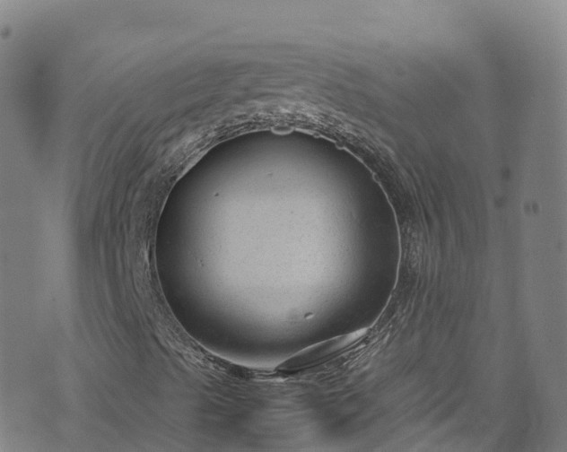 X0000072501489200607211236