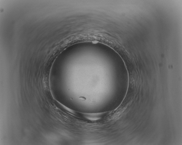 X0000072501490200607211236