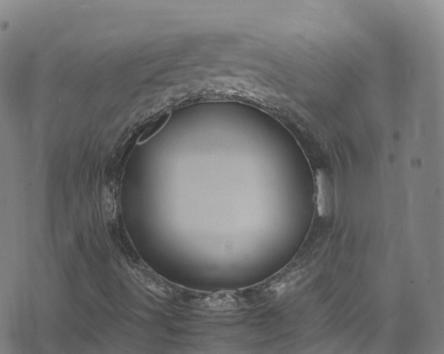 X0000072501491200607211236