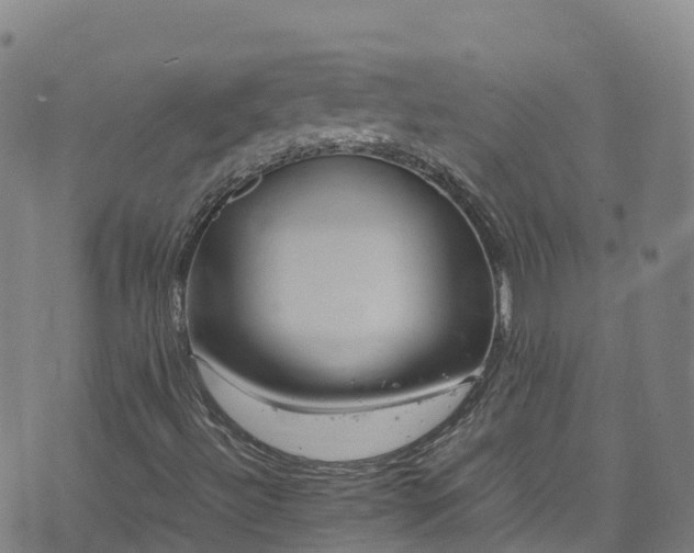 X0000072501492200607211236