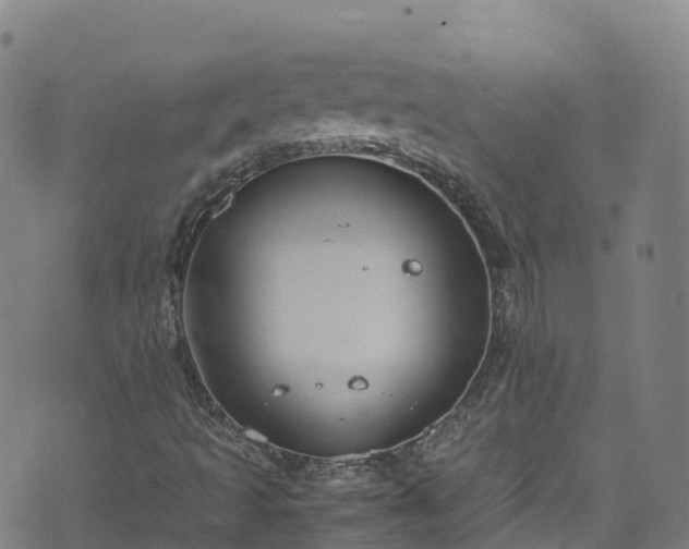 X0000072501493200607211236