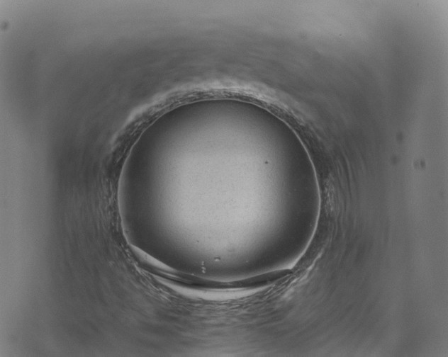 X0000072501494200607211236