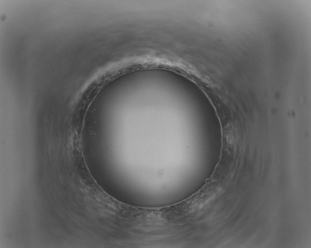 X0000072501495200607211236