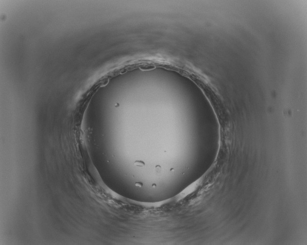 X0000072501496200607211236