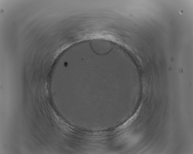 X0000072501497200607211236