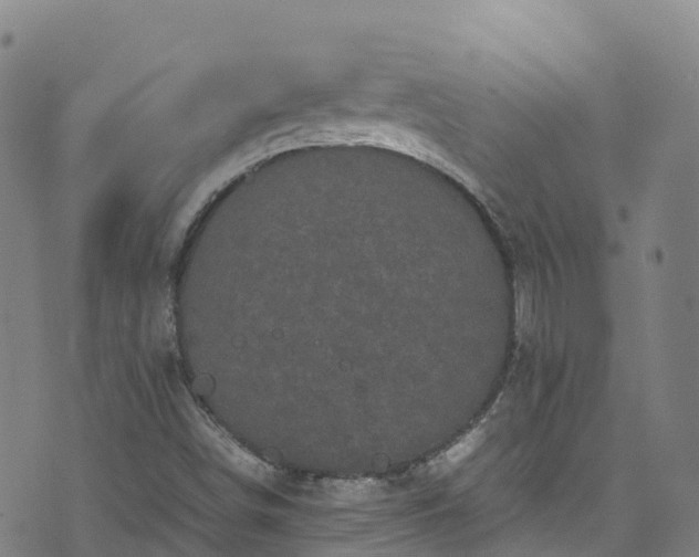 X0000072501498200607211236