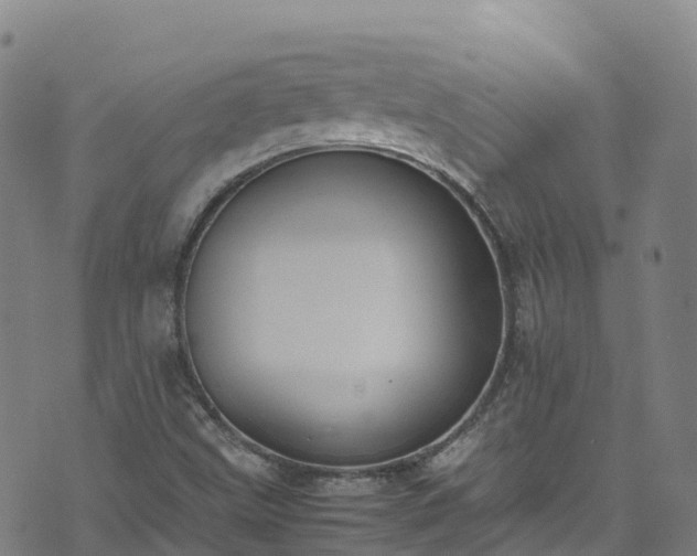 X0000072501499200607211236