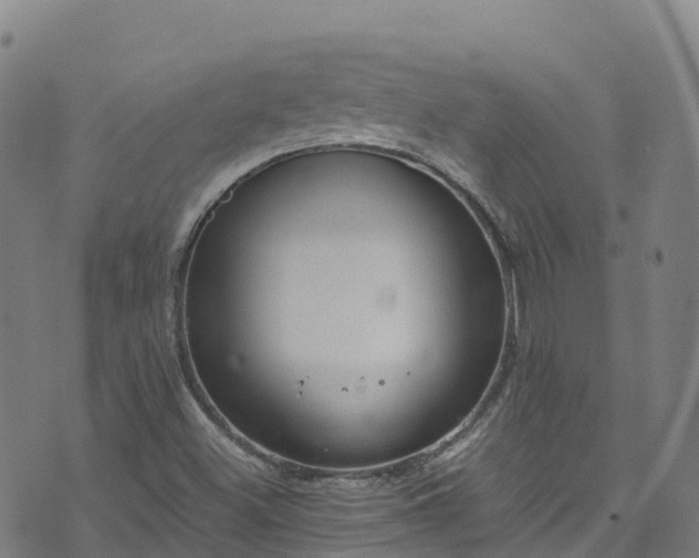 X0000072501500200607211236